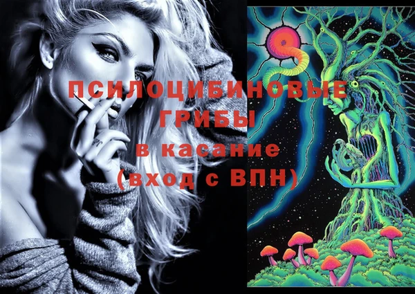 МДПВ Алзамай