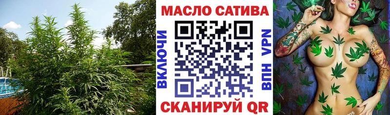 где можно купить   Ардатов  ТГК концентрат 