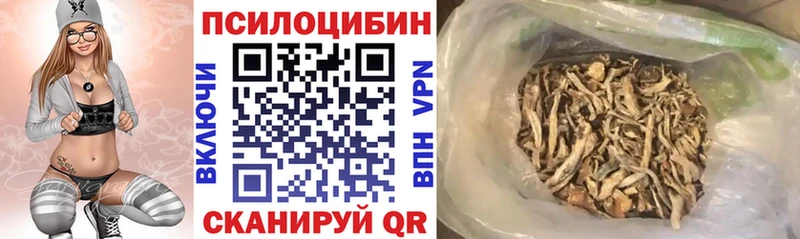Галлюциногенные грибы Magic Shrooms  Ардатов 